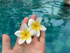-海角轩·三亚文华东方酒店