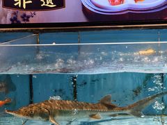 -乡里八闽·福州乡土菜(高宅店)