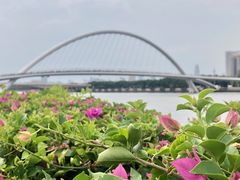 -赏点粤式点心(广州塔店)