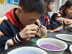 -中国宋庆龄青少年科技文化交流中心