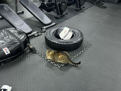 -FIGHTMAN格斗俱乐部(长宁临空店)
