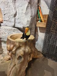 点击看大图 -Zoolung Zoolung动物主题公园(海信广场店)