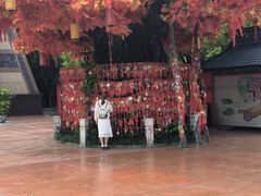 -芜湖方特东方神画