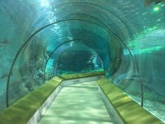 -福州罗源湾海洋世界旅游区