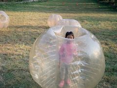 -东方巨龟苑景区