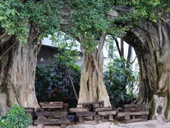 -Club Med地中海俱乐部·桂林度假村