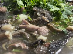 -小杨翘脚牛肉
