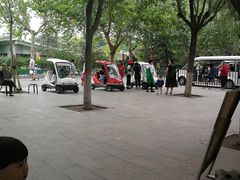 -石家庄市动物园