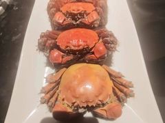 -西湖春天(中州店)