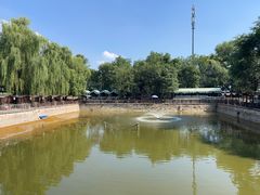 -尚庄度假村·庭台树下·户外烧烤·团建CS·轰趴营地(上庄水库店)