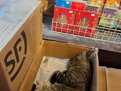 -正阳书局(西四南大街店)
