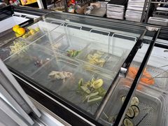 -尚庄度假村·庭台树下·户外烧烤·团建CS·轰趴营地(上庄水库店)