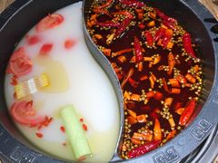 -销魂美蛙鱼头火锅(上海首店)