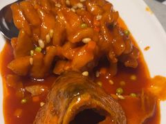 -新吉士·上海菜(浦东LCM置汇旭辉店)