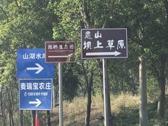 -恋山坝上草原