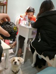 -明·就说好美发店