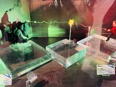 -Animate(秋叶原本馆)