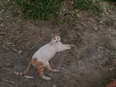 -小河无名面馆