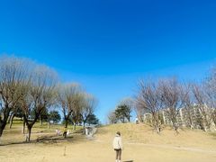 -小意思咖啡店(草桥店)