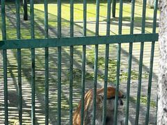 -秦皇岛野生动物园