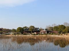 -上海海湾国家森林公园