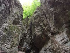 -牛背梁国家森林公园