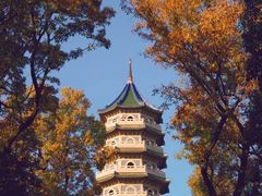 -灵谷景区