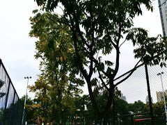 -光明港公园