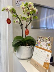 点击看大图 -慕名造型