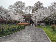 -堤角公园