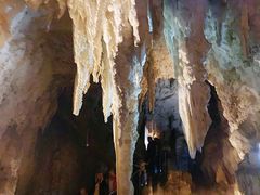 -怀托摩萤火虫洞