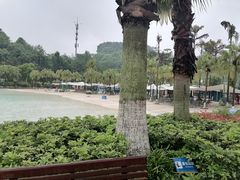 -重庆海昌加勒比海水世界