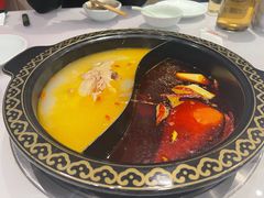 酸萝卜老鸭鸳鸯锅-gleeglee乐溢亦茶(合生汇店)