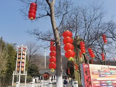 -老山国家森林公园