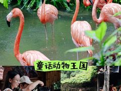 -长鹿旅游休博园