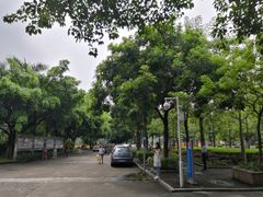 -广东科技学院(南城校区)