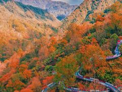 -光雾山旅游景区