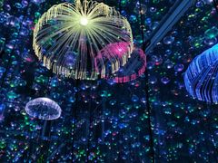 -星空失恋博物馆(北京路旗舰店)