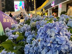 -HALO广场(梨园路店)