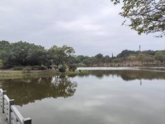 -东莞植物园