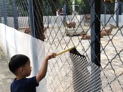 -长白岛森林公园