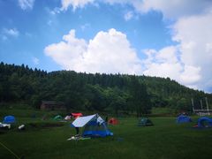 -武陵山森林公园