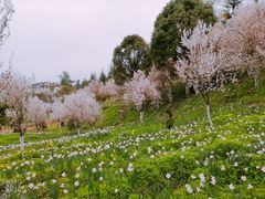 -龙架山森林公园