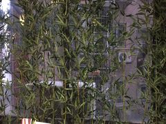 -功夫小龙虾·烧烤·江湖菜(金沙洲店)