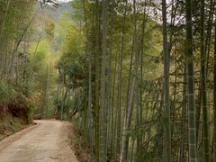 -闪电修企业手机电脑回收(西湖风景名胜区店)