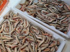 -中国舟山国际水产城