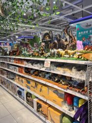 -TOYSRUS玩具反斗城(萧山万象汇店)