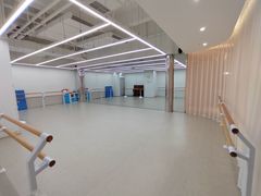 -红舞鞋舞蹈教育(近江校区)