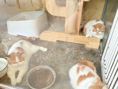 -花苑里咖啡(威远店)