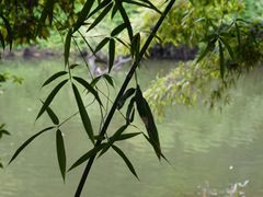 -水绘园